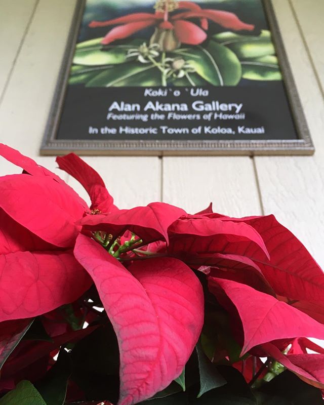 ANNIVERSARY OPEN HOUSE
When you visit our open house on Sunday, December 30 (2-5 p.m.), the holiday decorations will still be up! Drop on by for live music and dancing, refreshments, door prizes and our big end-of-the-year sale! Most importantly, com