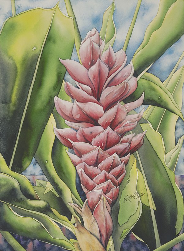 Pink Ginger 2022 Web.jpg