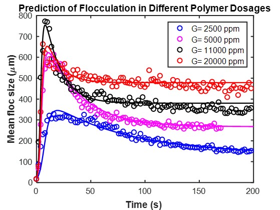 Floc modeling-2.jpg