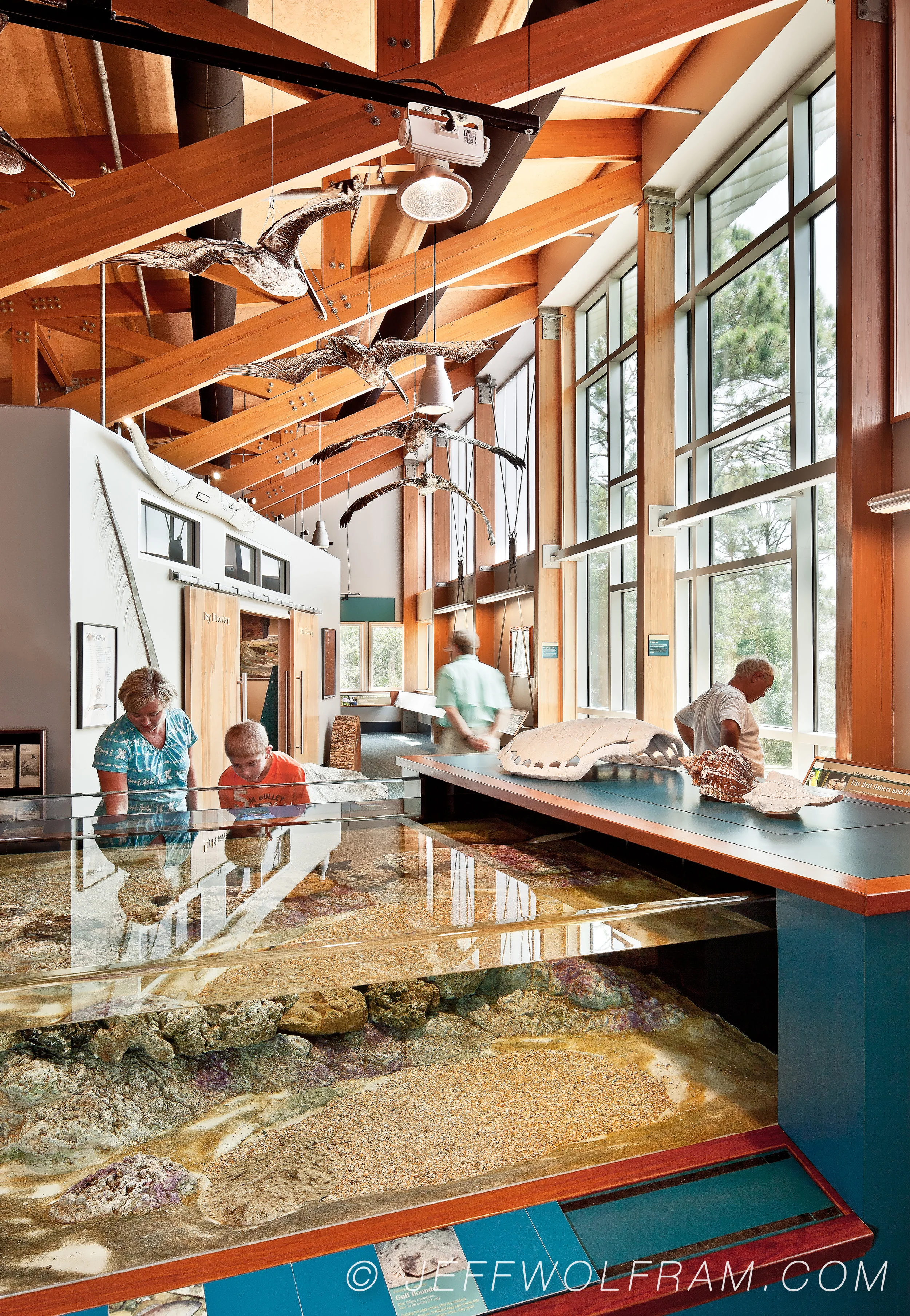 Museum displays near Tallahassee Florida photographed by Interior Photographer Jeff Wolfram