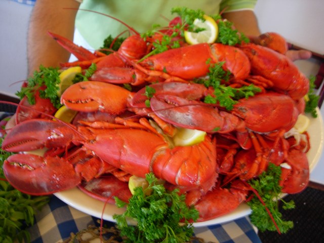 Food- Lobster.jpg