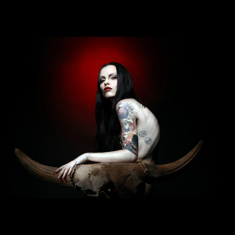 800xk01_1.jpg