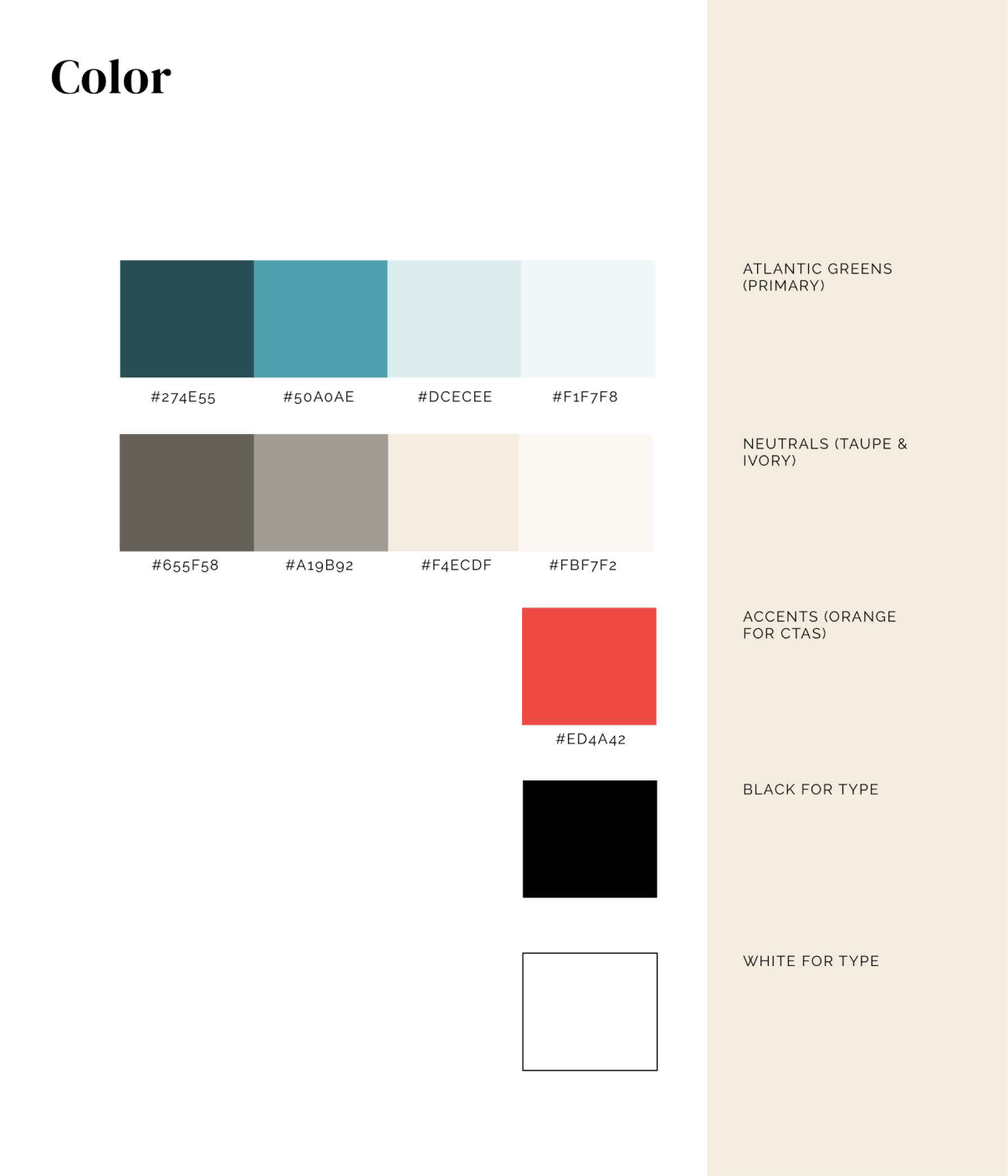 Color Palette.png