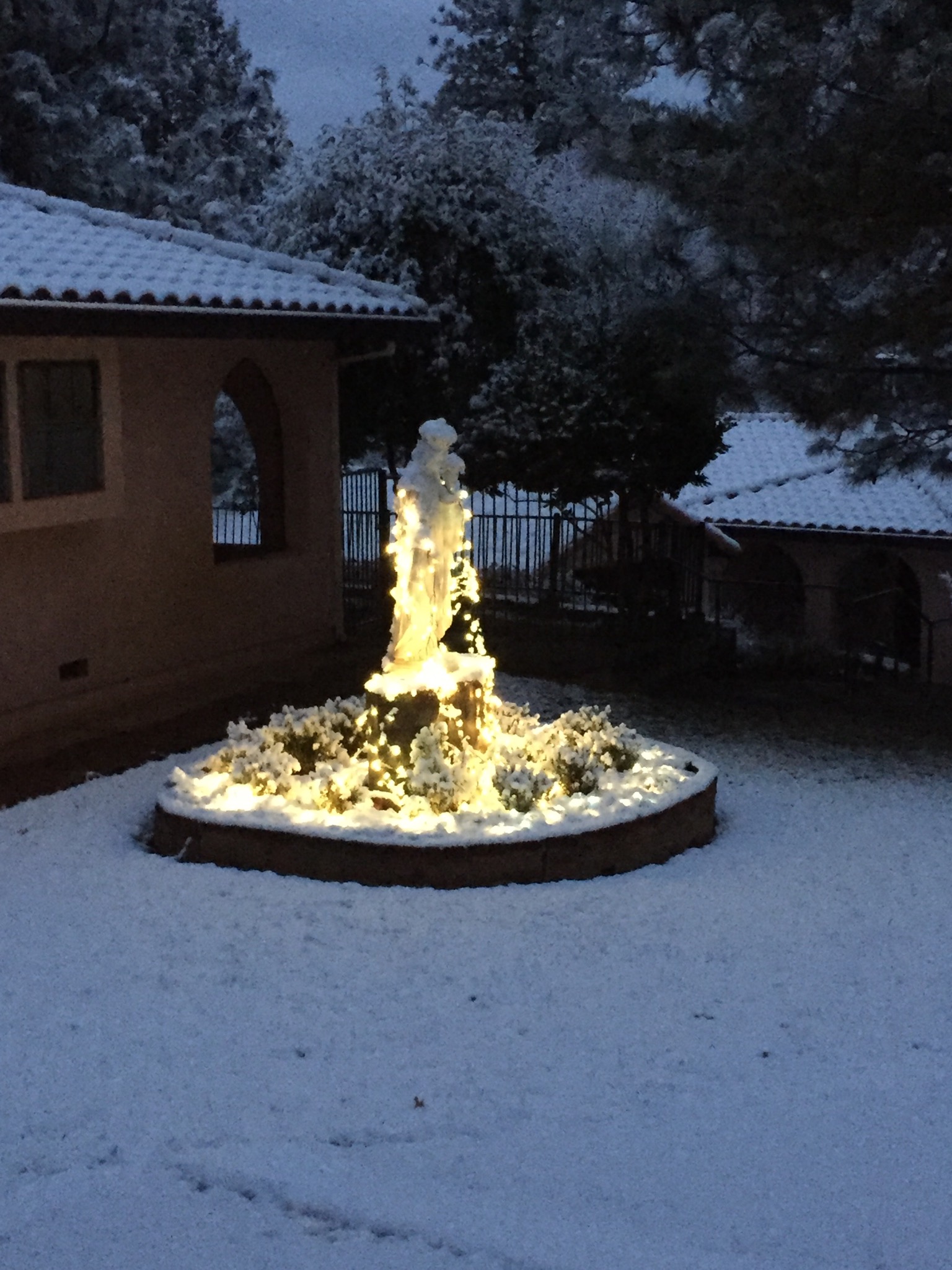 Newsletter #4 - New Years' Graces