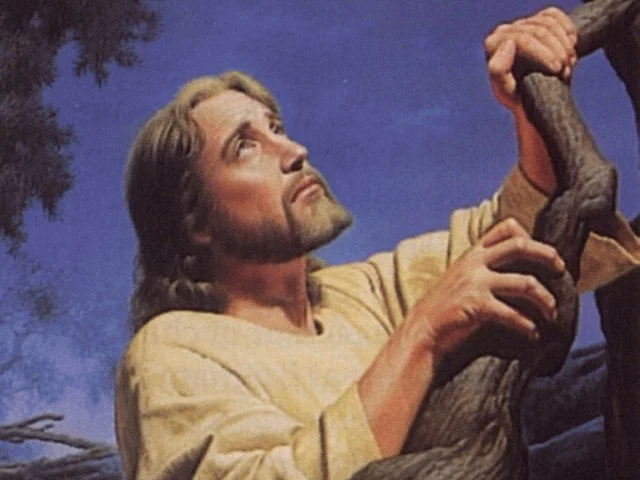 Newsletter #5 - Lent