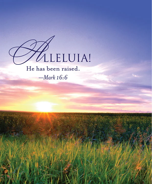 Newsletter #6 - Easter Alleluia