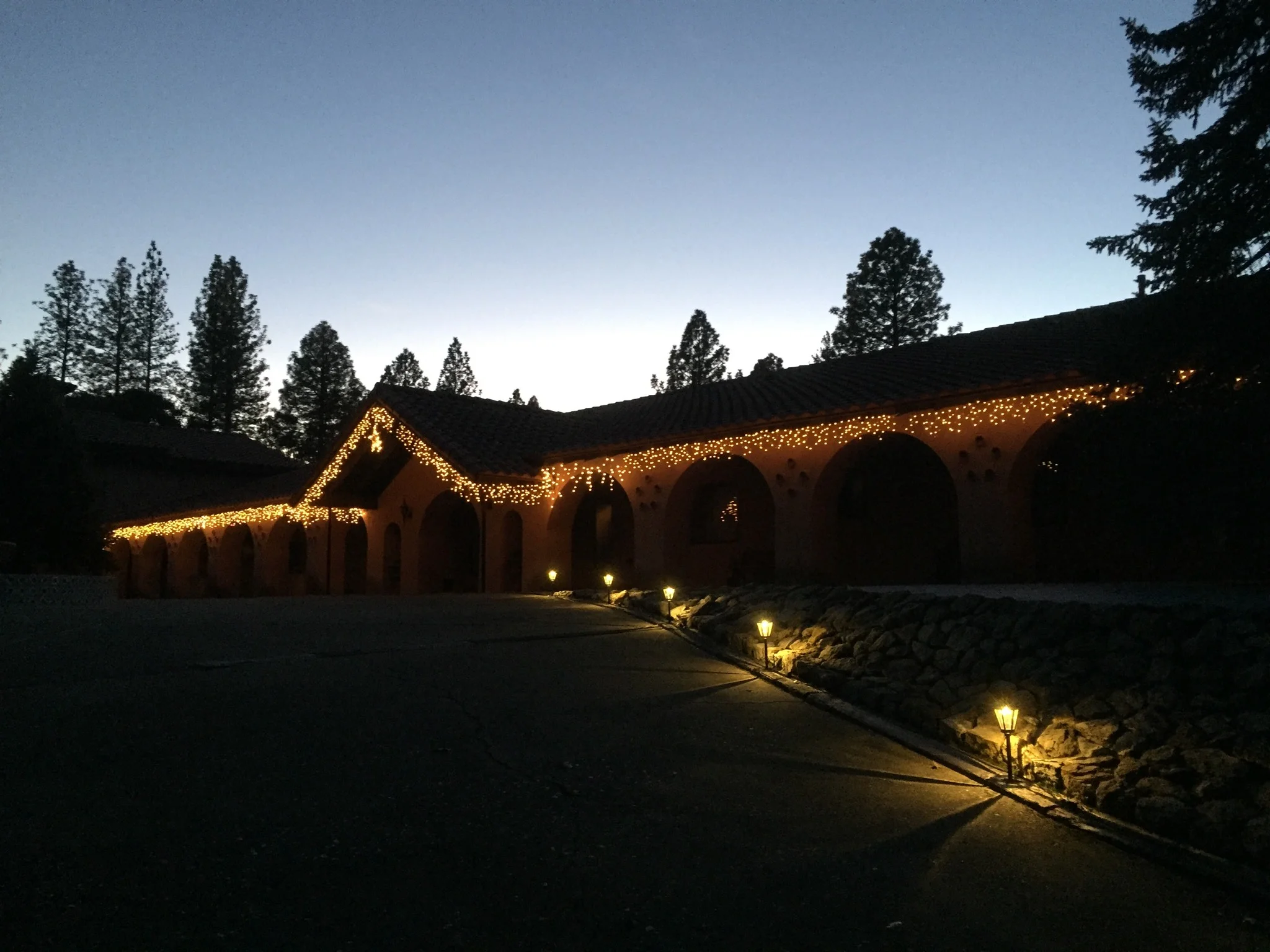 Newsletter #14 - All Is Calm