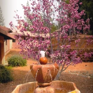 Newsletter #16 - Springtime News