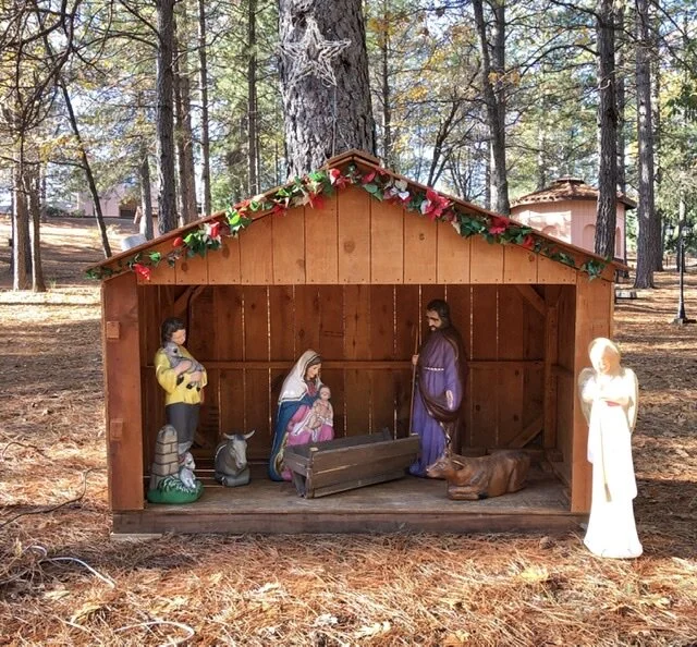 Newsletter #27 - December 2020