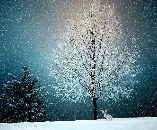 Winter Camp - Registered Students