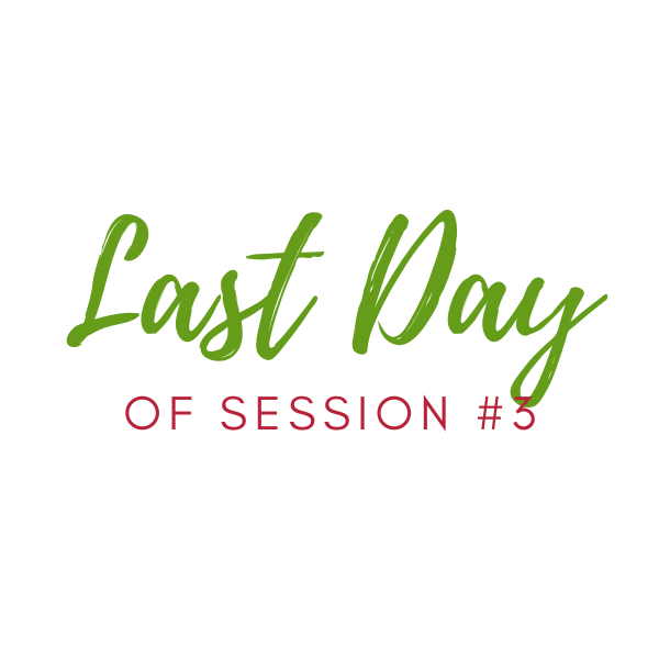 Last Day of Session #3 