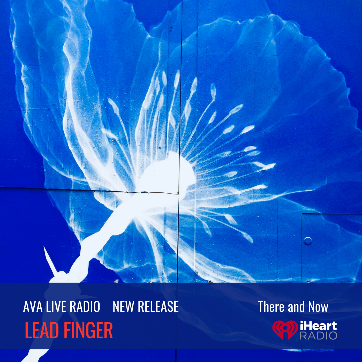 lead finger.png
