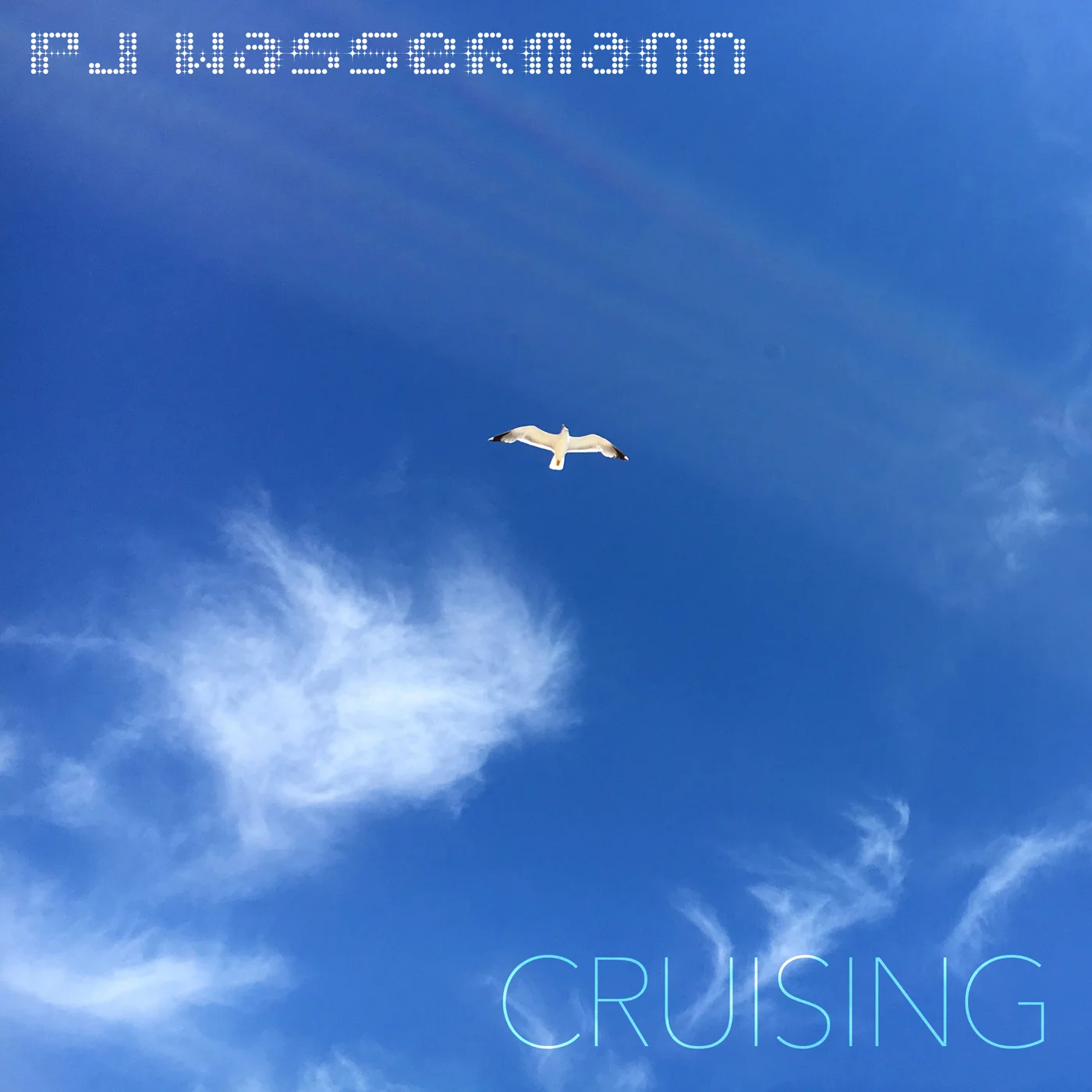 PJ Wassermann_CRUISING_1806_1400px.jpg
