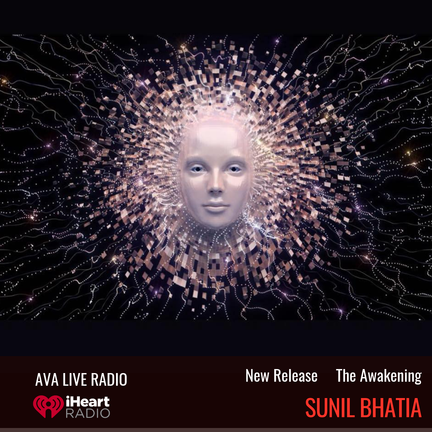 The Awakening sunil bhatia.png
