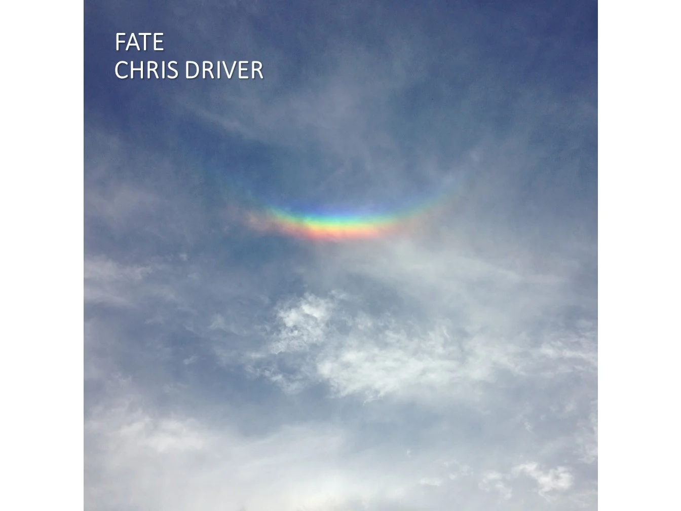 Chris Driver Fate Artwork.jpg