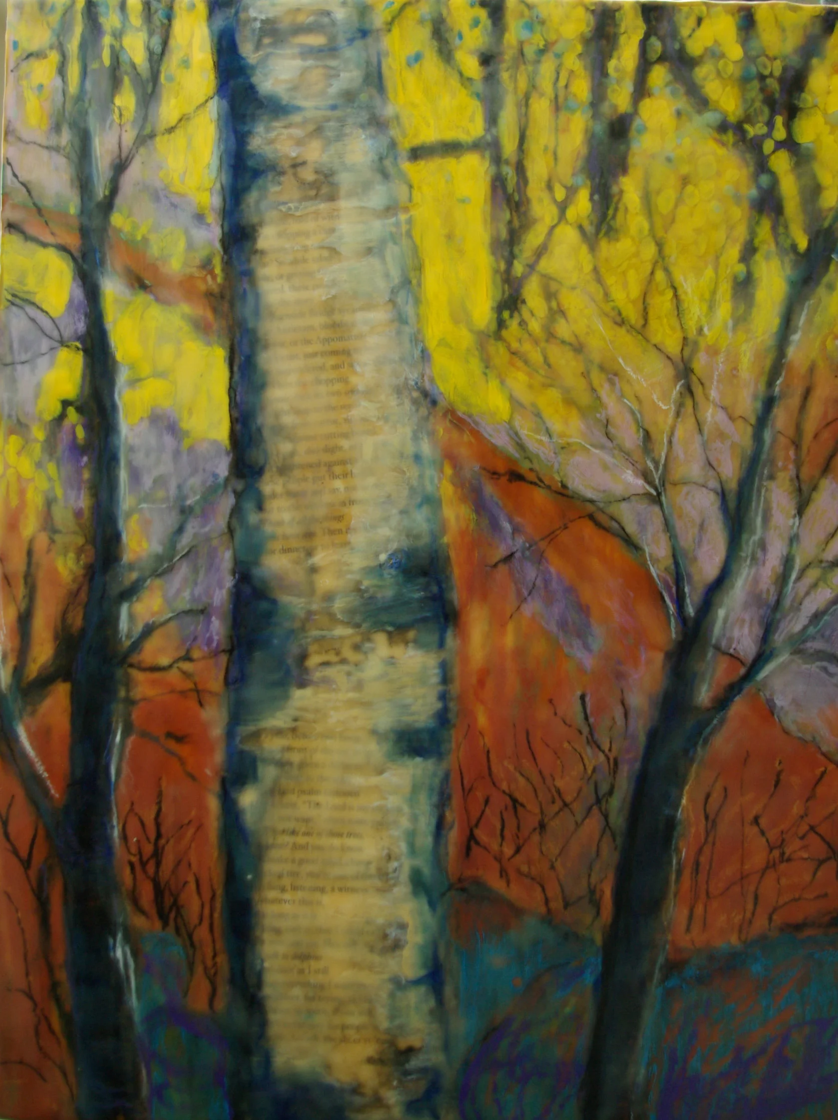 the memory of trees 07.jpg