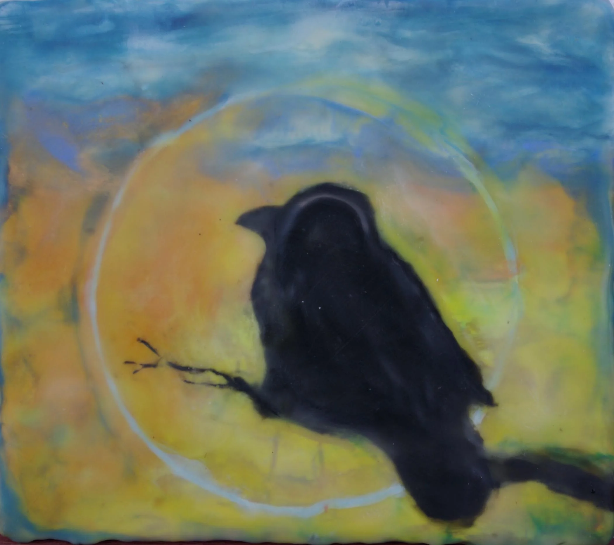 crow 005.jpg