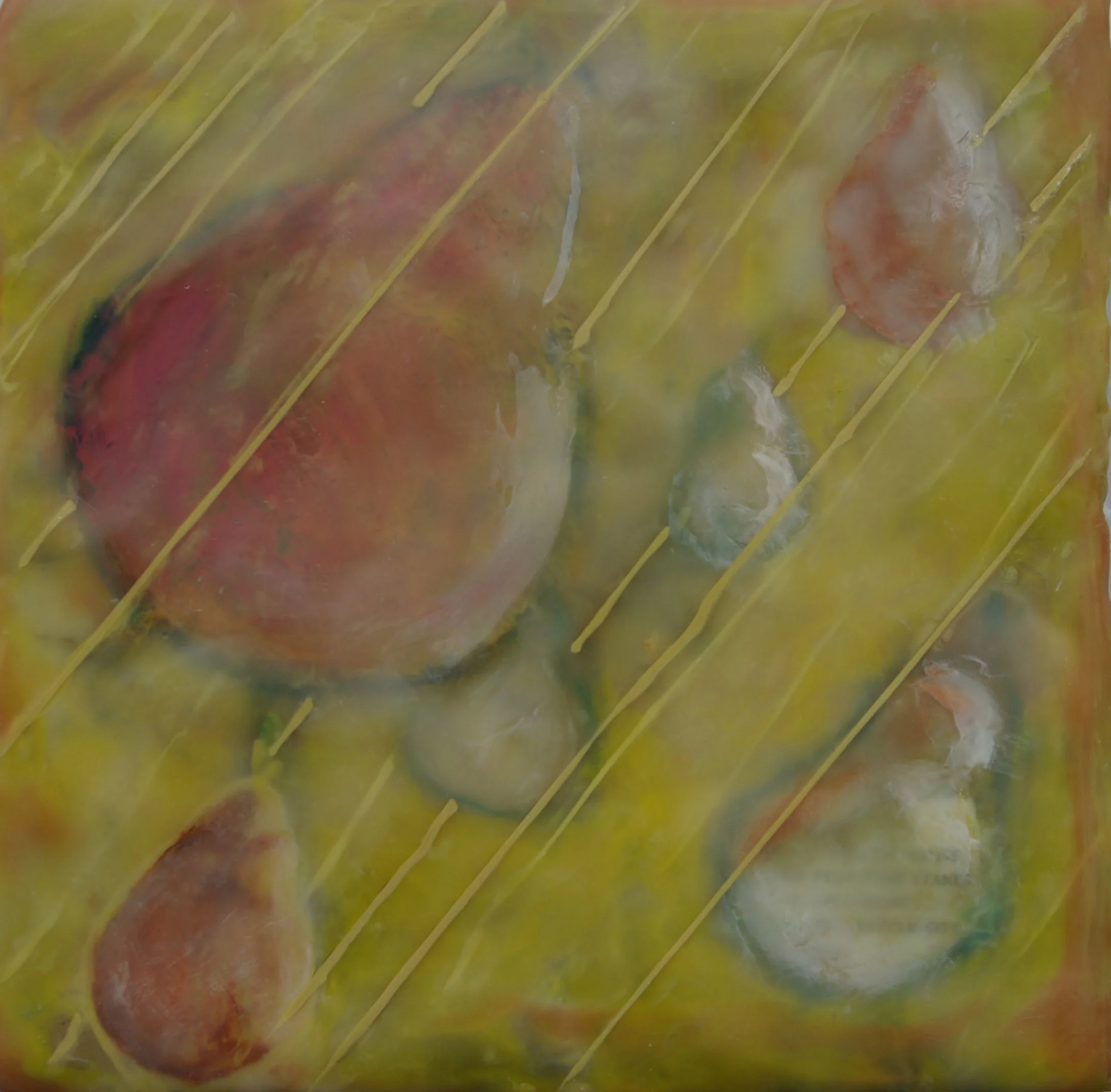 pear space 07.jpg