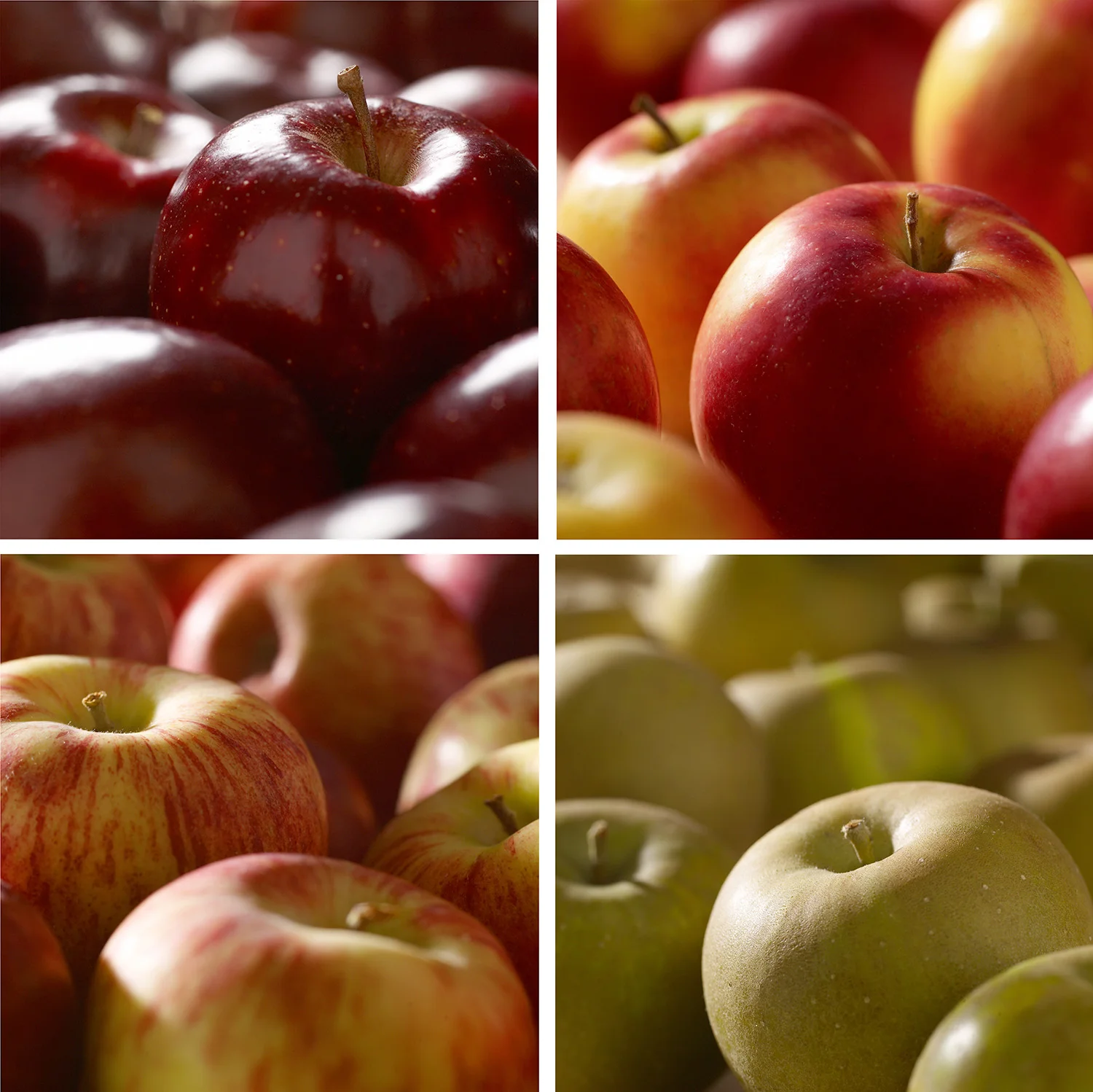 Apples1.jpg