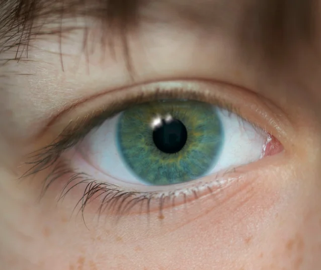 eye 4.jpg