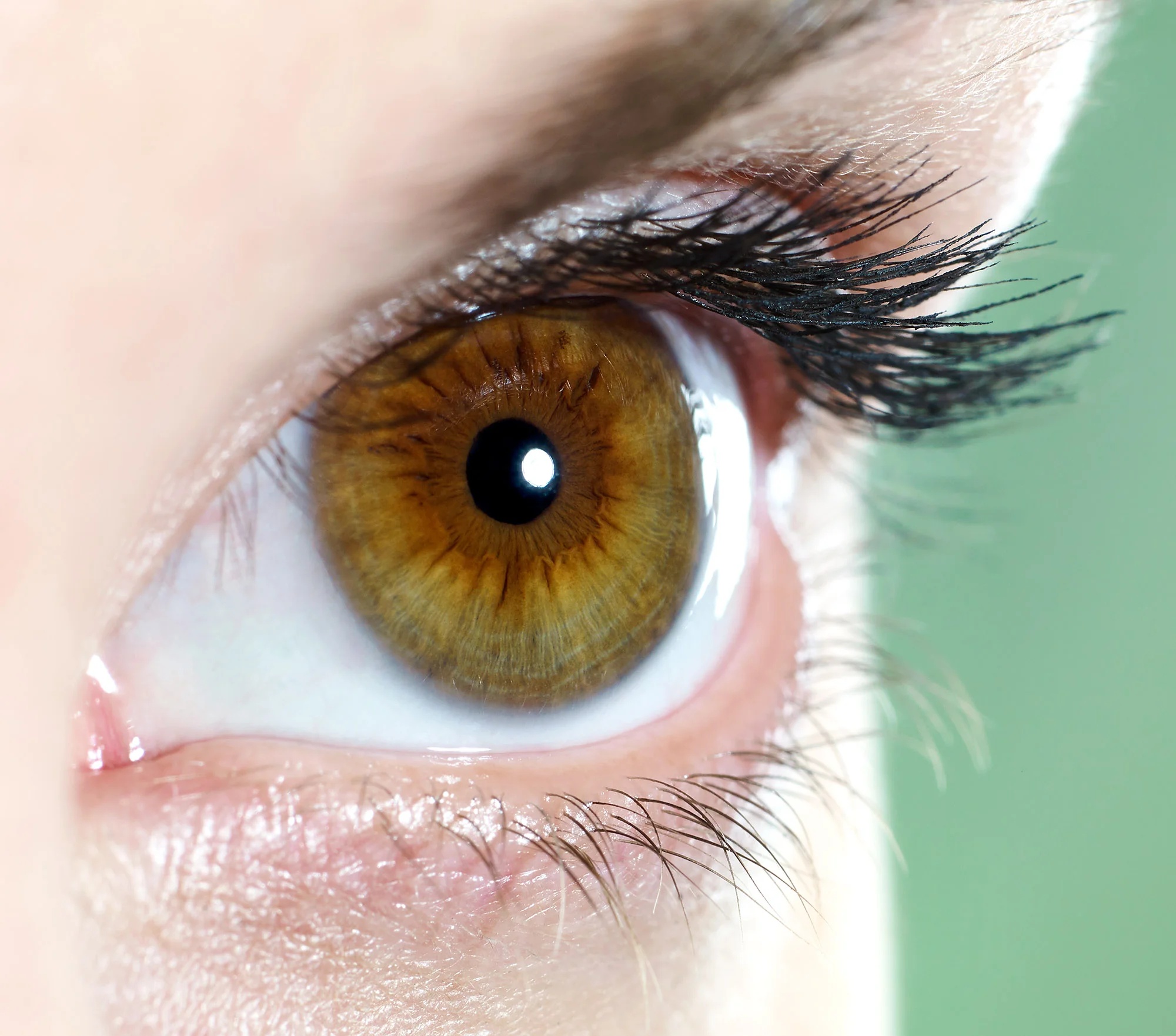 Eye.jpg
