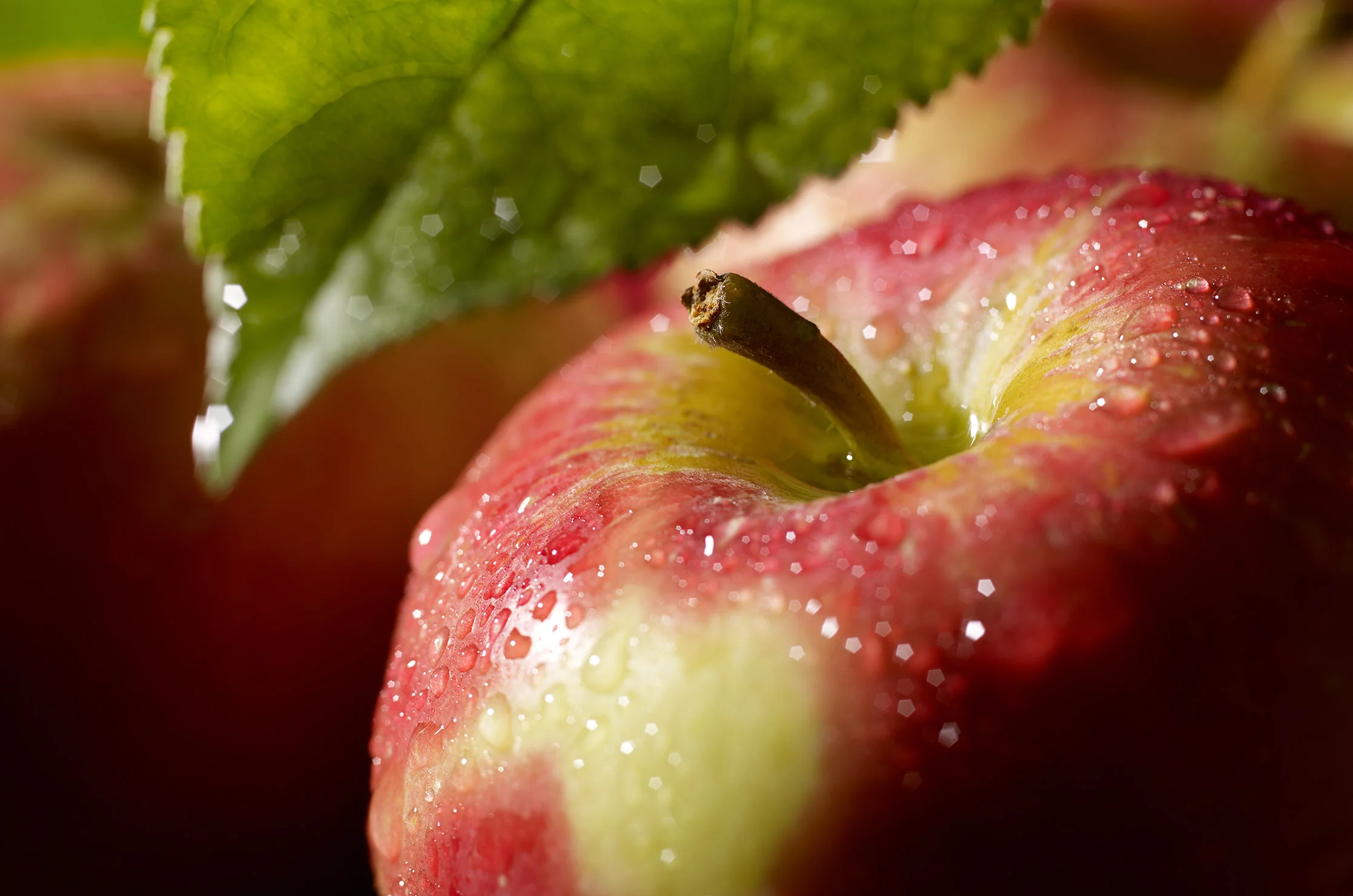 Honey Crisp Apples.jpg