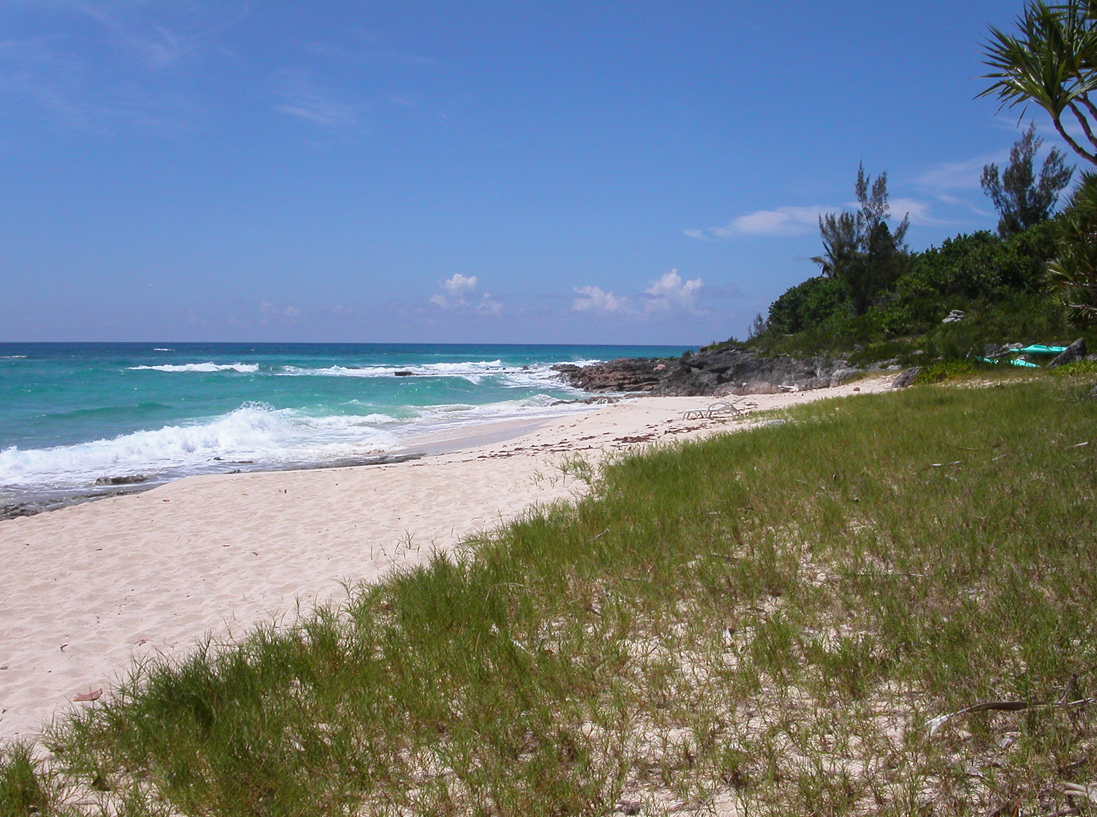 overthetopbeach2.jpg