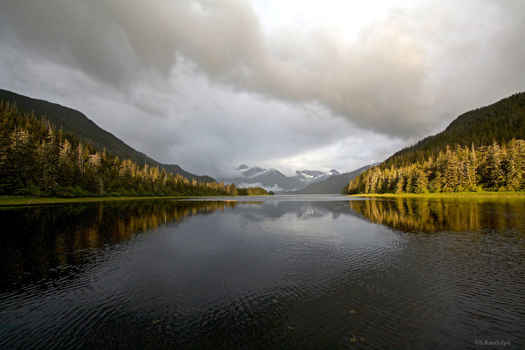 Cedar Cove dusk.jpeg