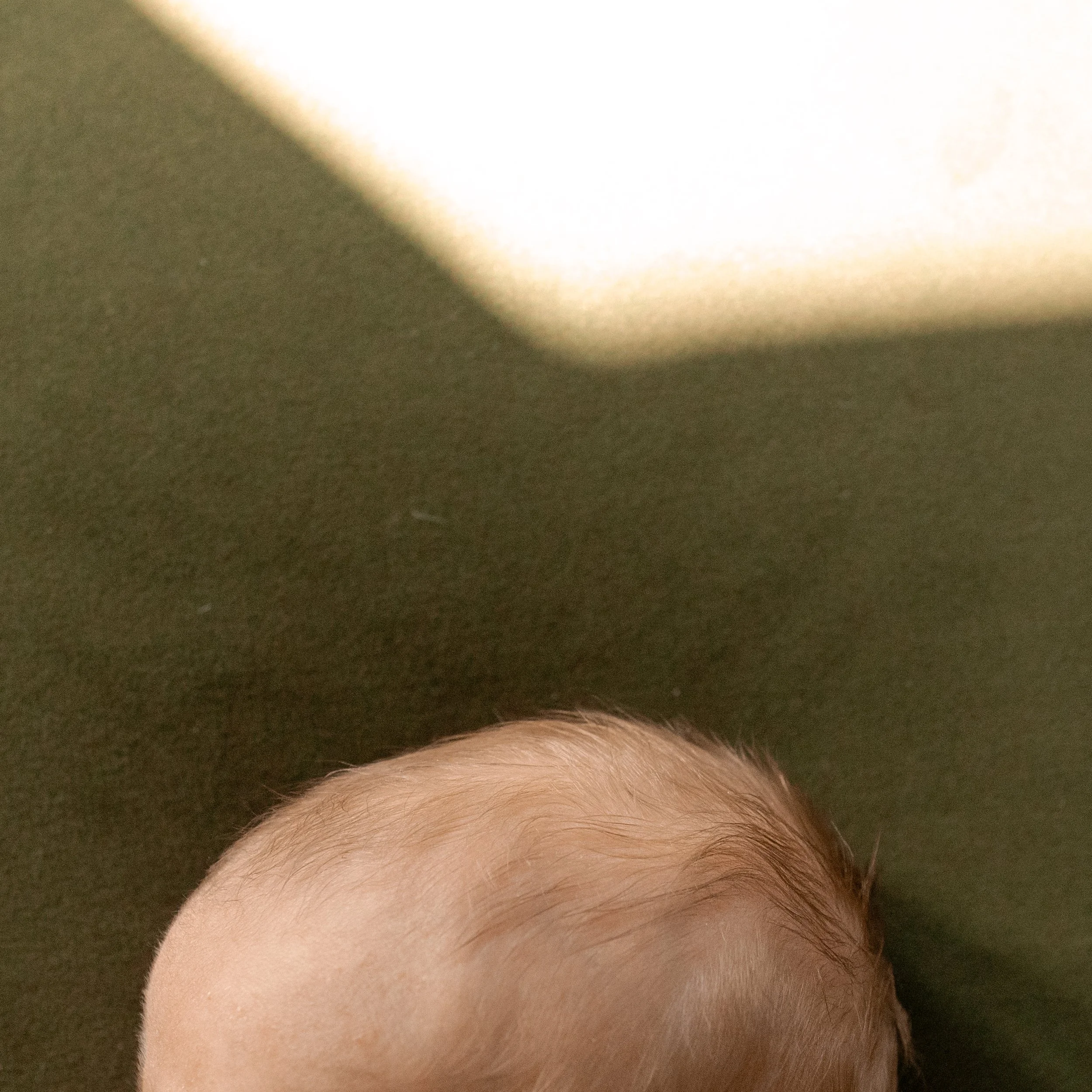 OLIVER_2026-123.jpg