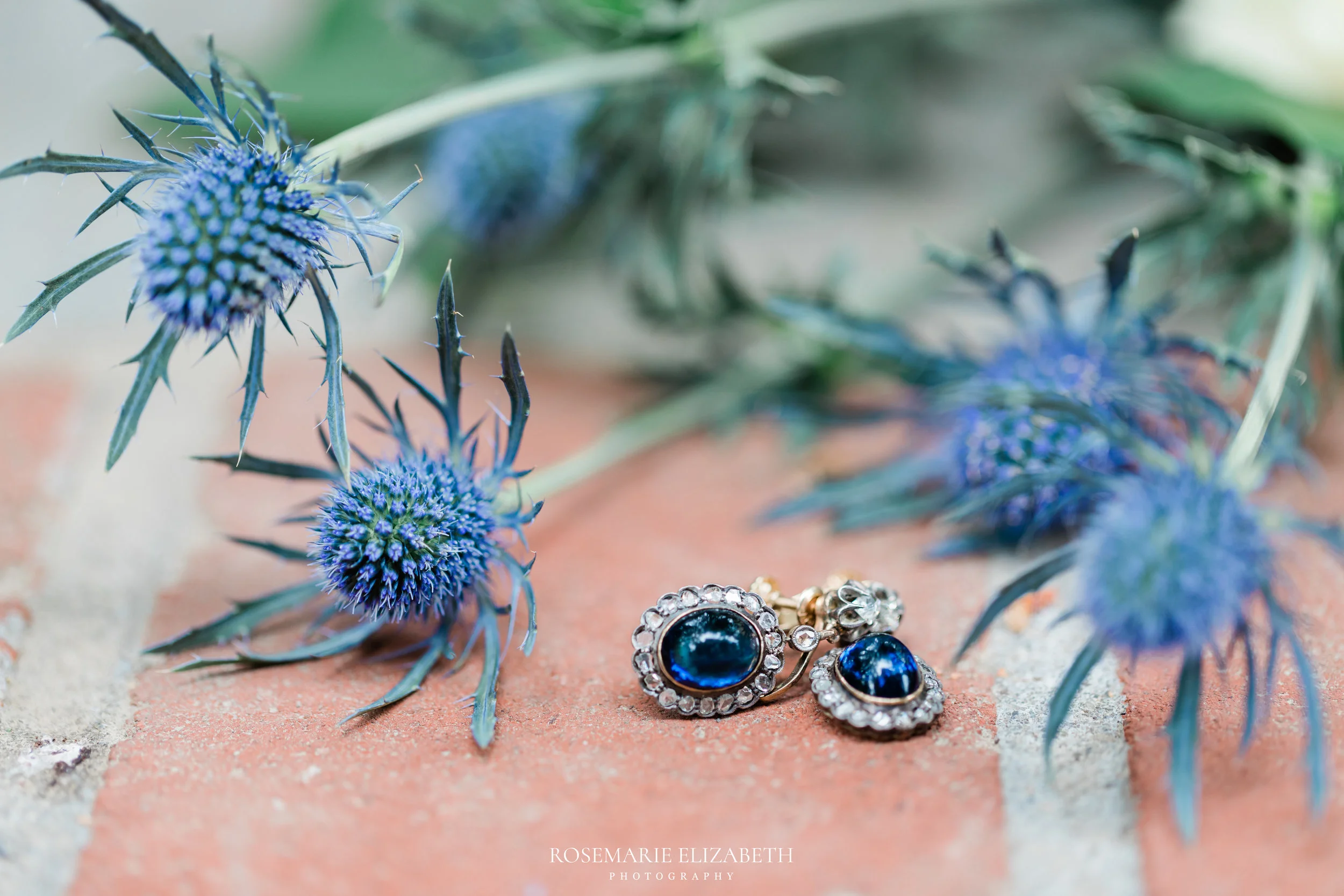 RosemarieElizabethPhotography-5382.jpg
