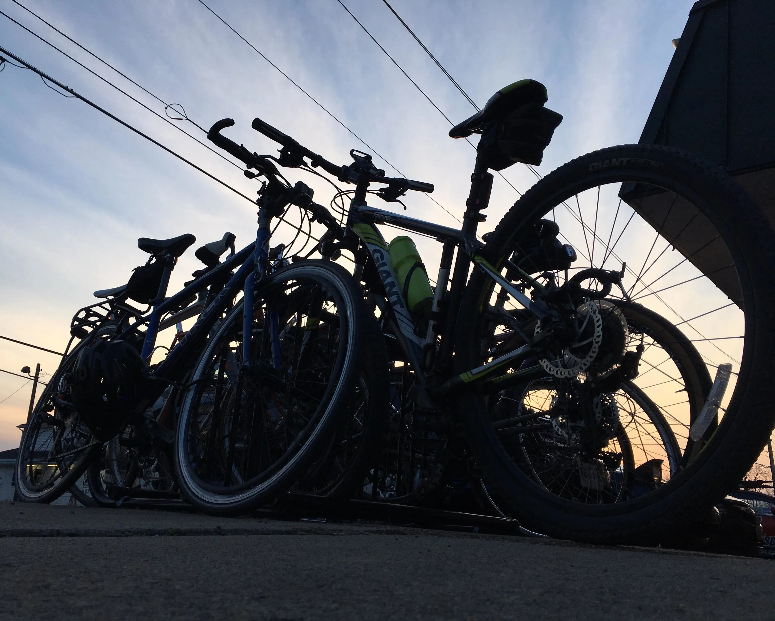 Look at all these bikes!