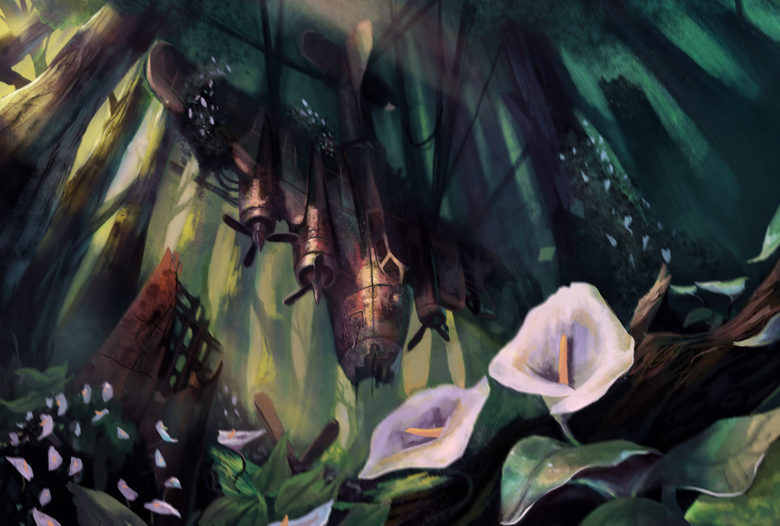 Calla