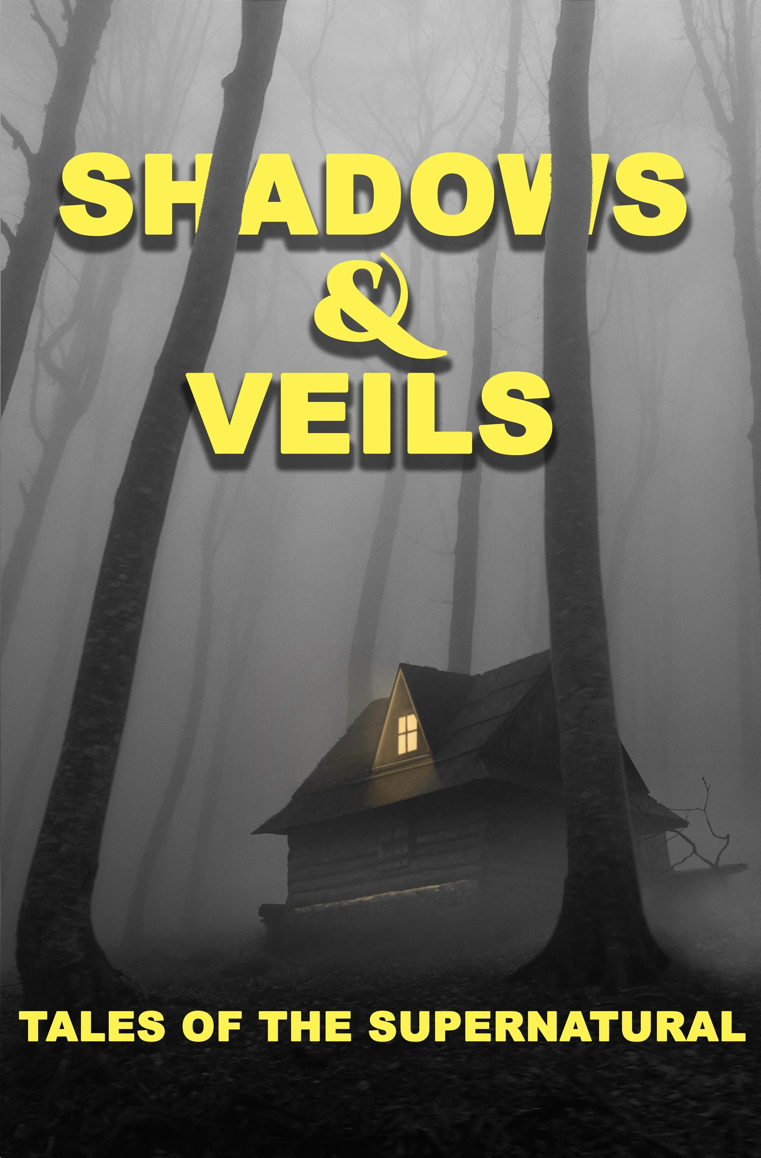 book cover–PAPERBACK_5.250x8.000_247_BW_WHITE_en_US copy 3.jpeg