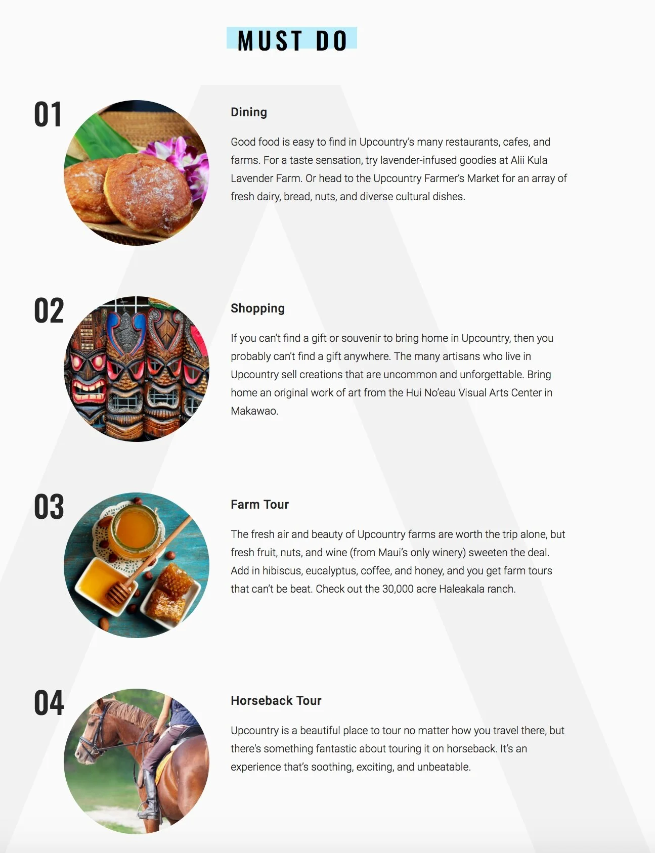 Activity Spotlight - Aqua-Aston Hospitality