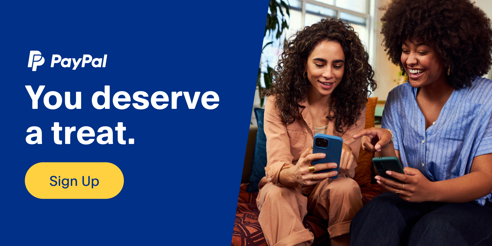 Paid Media Ad - PayPal