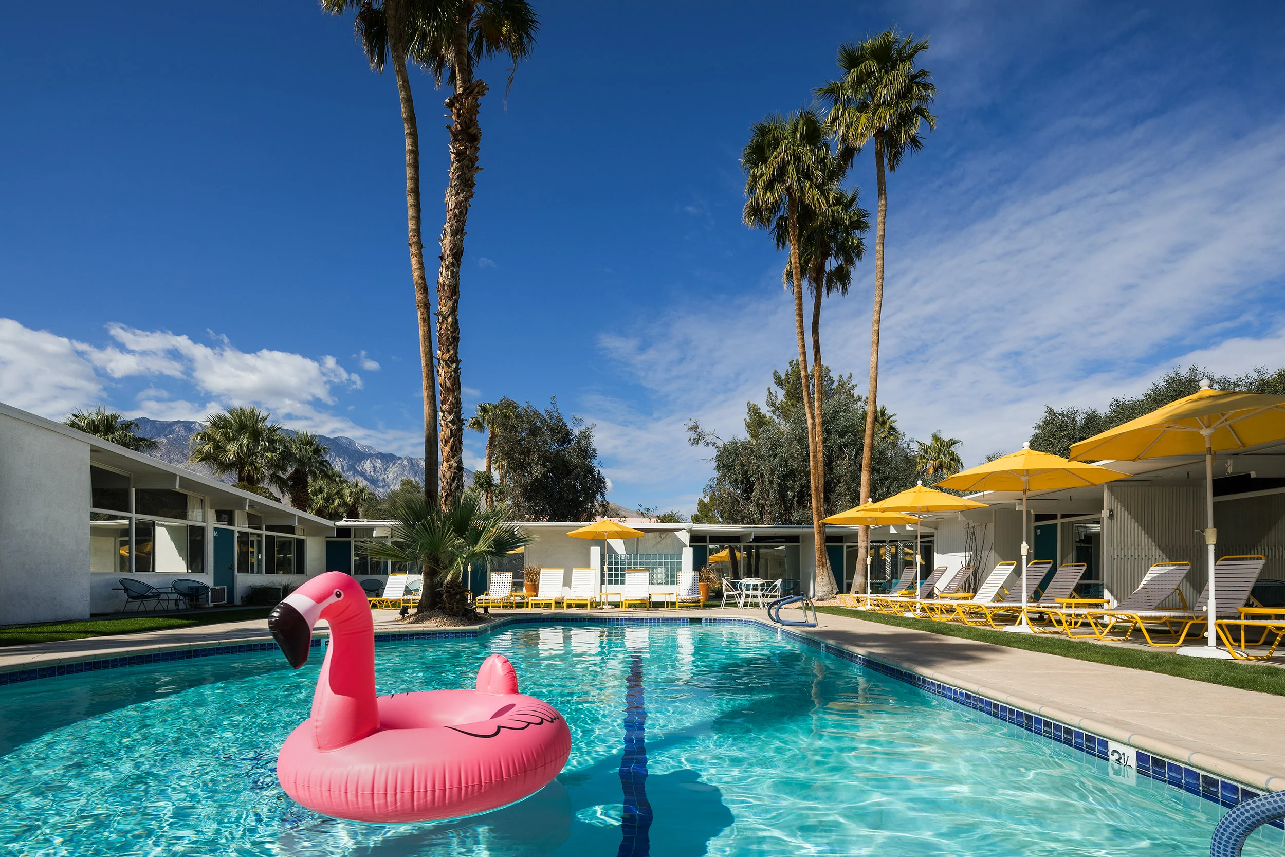 pink-flamingo-monkey-tree-hotel-palm-springs-01.jpg