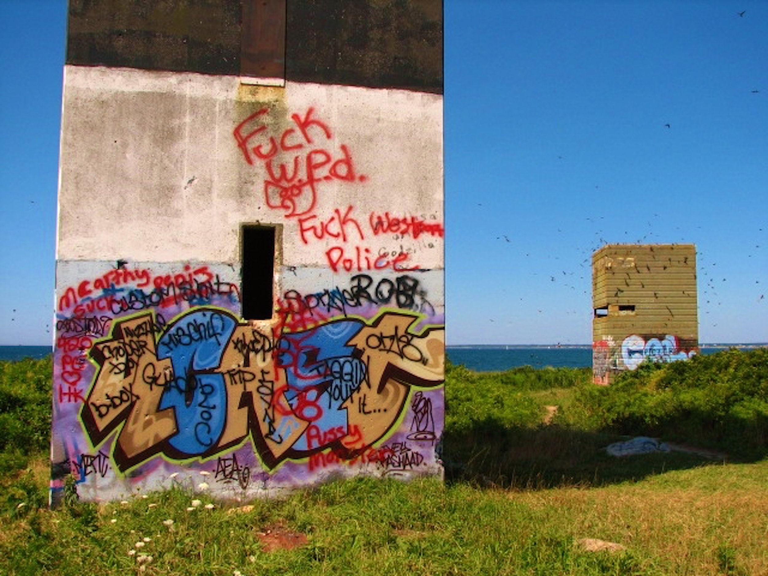 45. Graffiti Swarm IMG_8107.JPG