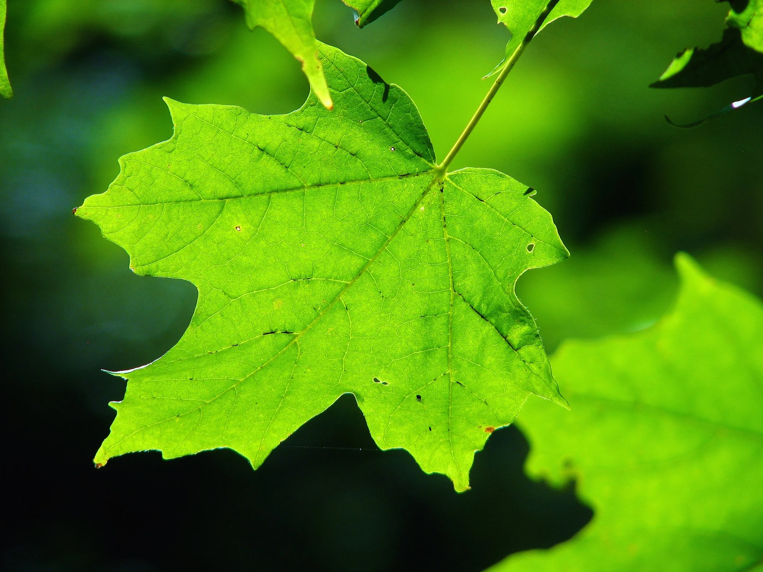 69. First Hand Experience IMG_1434.JPG