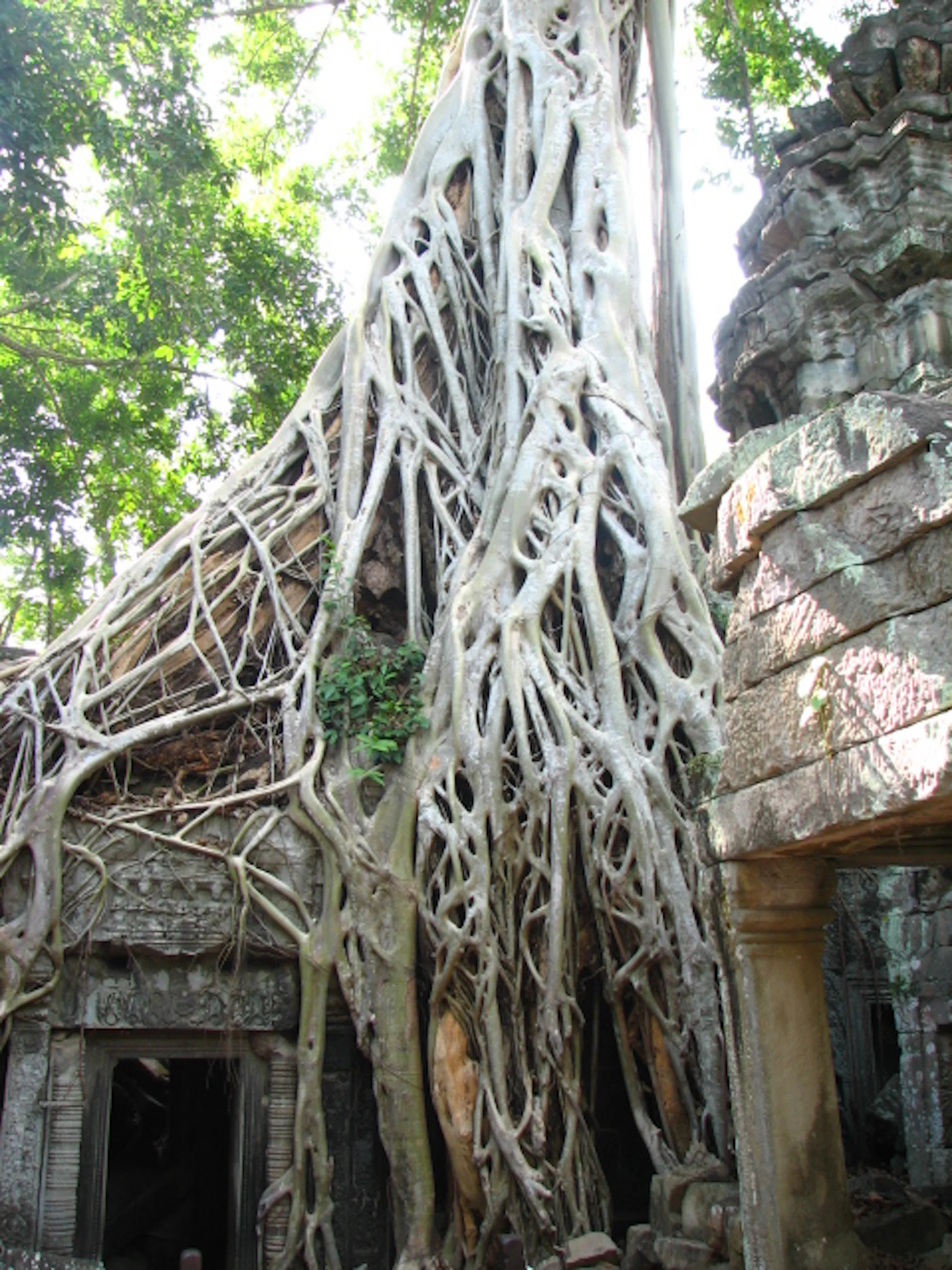 81. Past Life IMG_2287.JPG