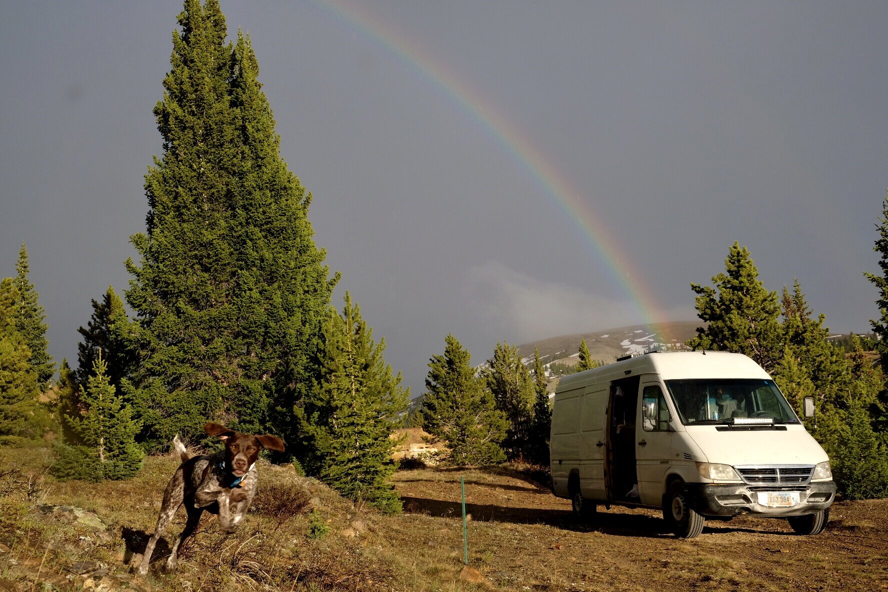  Typical van life with Sadey, rainbows and sunshine somewhere in Colorado. 