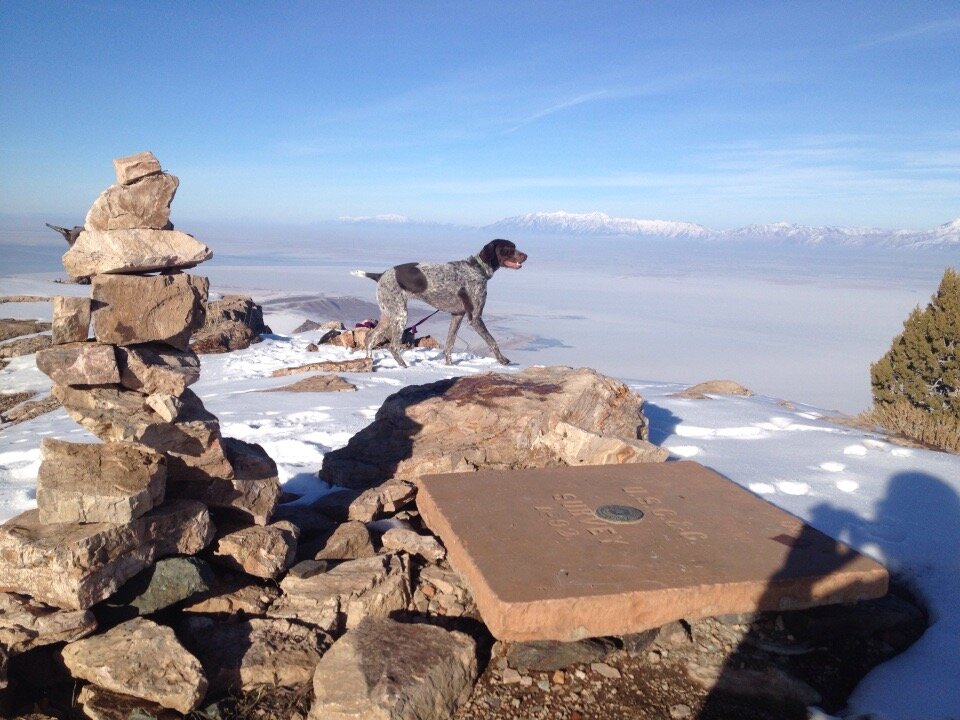  A trail run of Frary Peak, Anetlope Island Utah. 