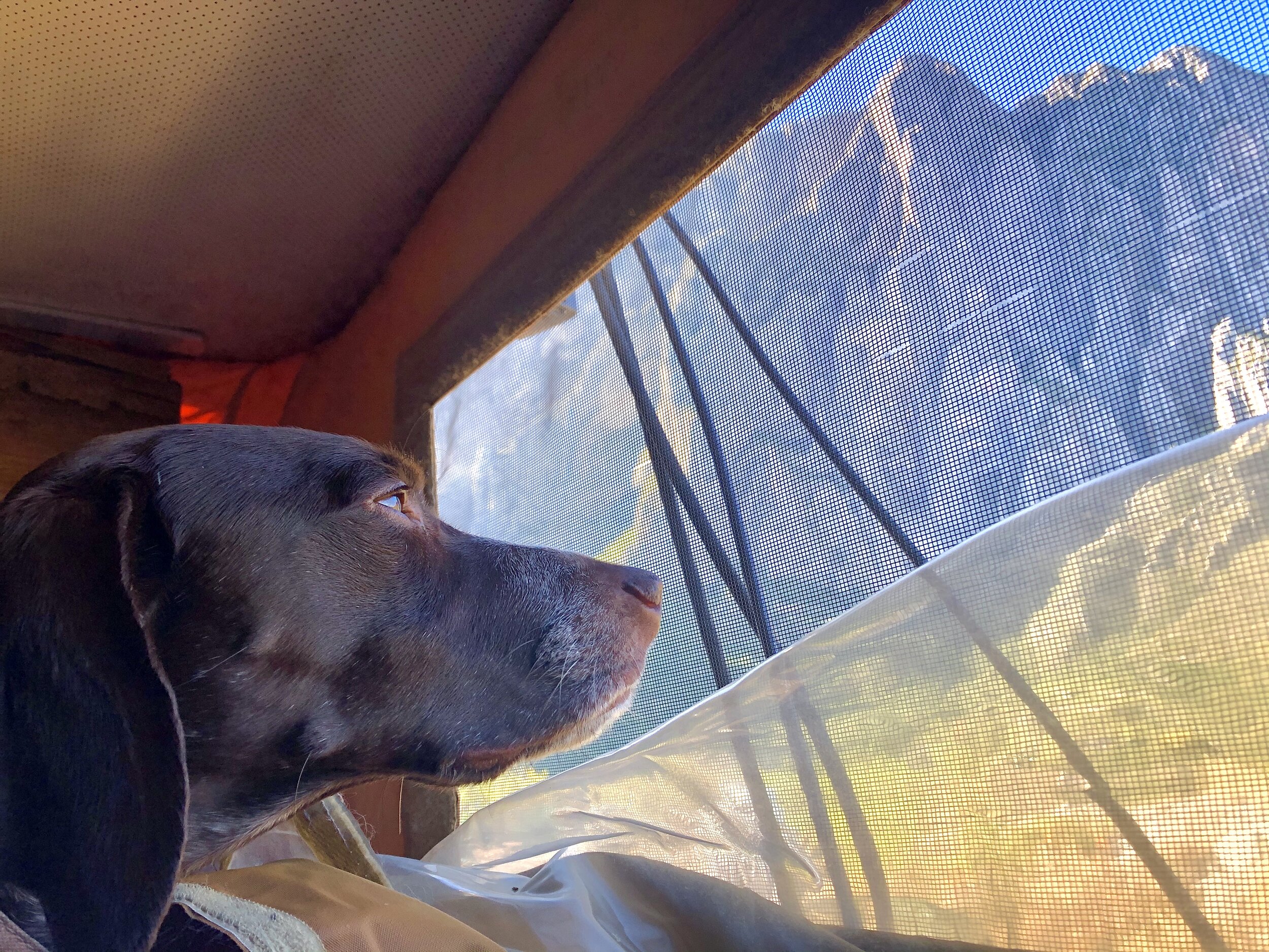  Sadey in the camper at the famous climbing destination, El Potrero Chico, Mexico. 