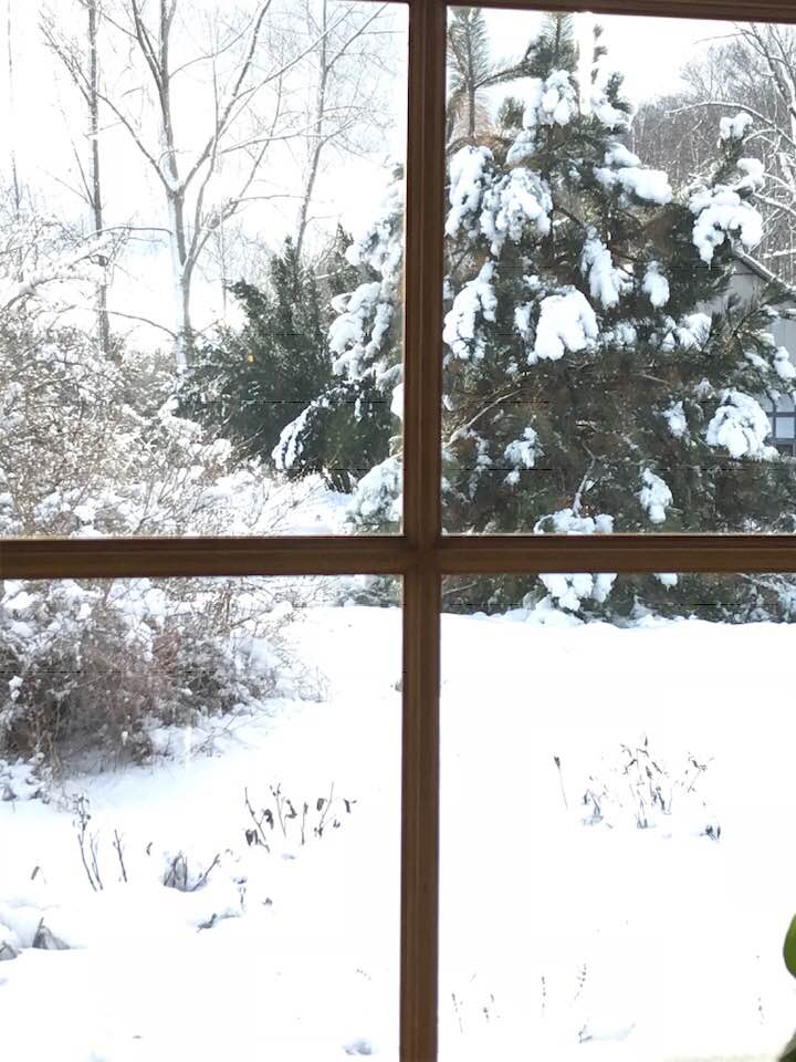KitcheWindowImage-1-1-19.jpg