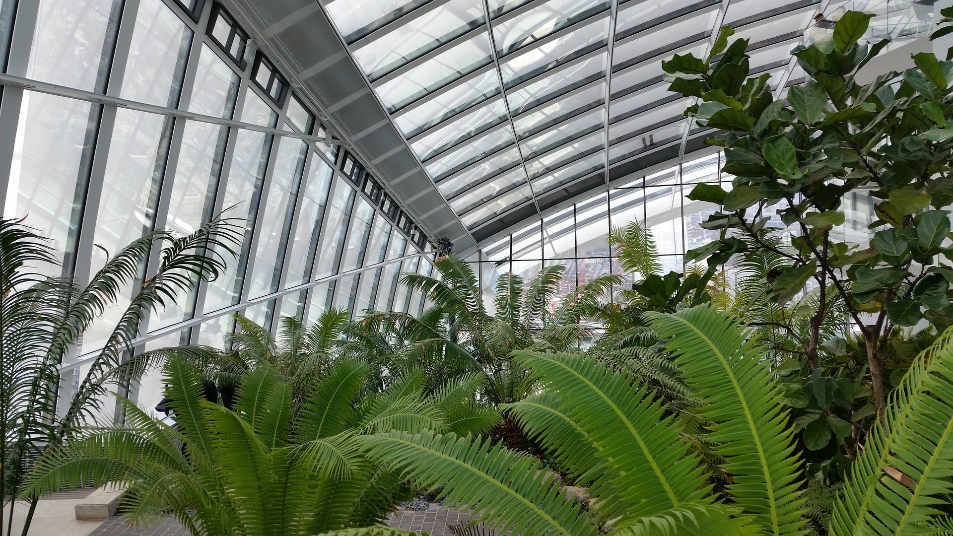 Fill Your Home with Greenery for a Winter Gardening Fix