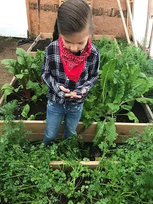 WorkingInTheHoopHouse.jpg
