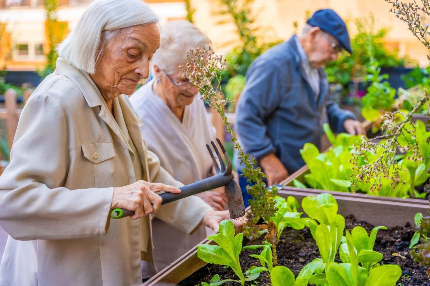 Gardening as You Age