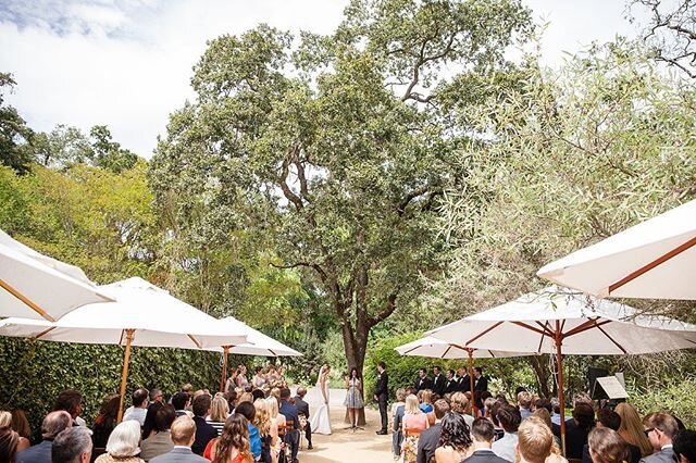 A unique ceremony location at one of my favorite venues @annadelestatewinery