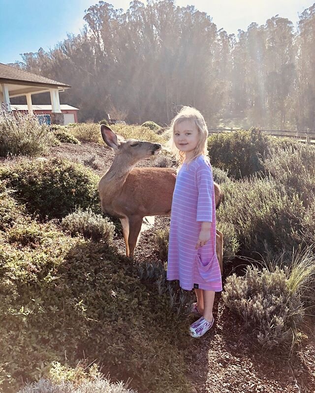 Took the kids for a visit to @thehavenattomales and got to spend some quality time with a furry friend!🦌