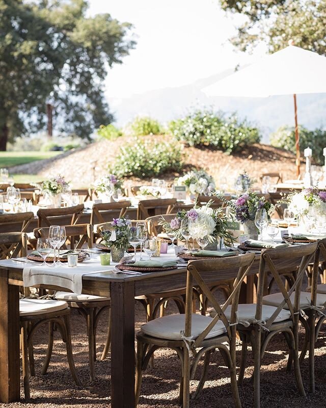 Quintessential Wine Country Wedding 🍷