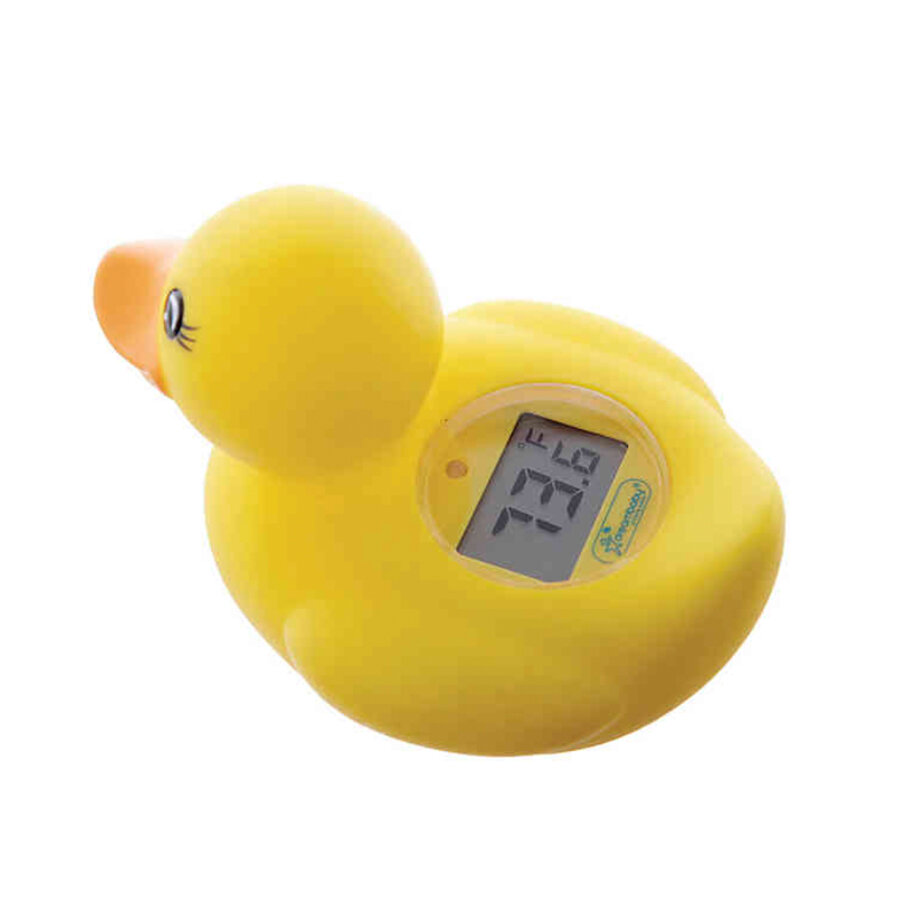 Dreambaby Bath Thermometer